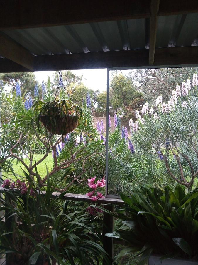 Lakes Entrance Waterfront Cottages With King Beds Esterno foto