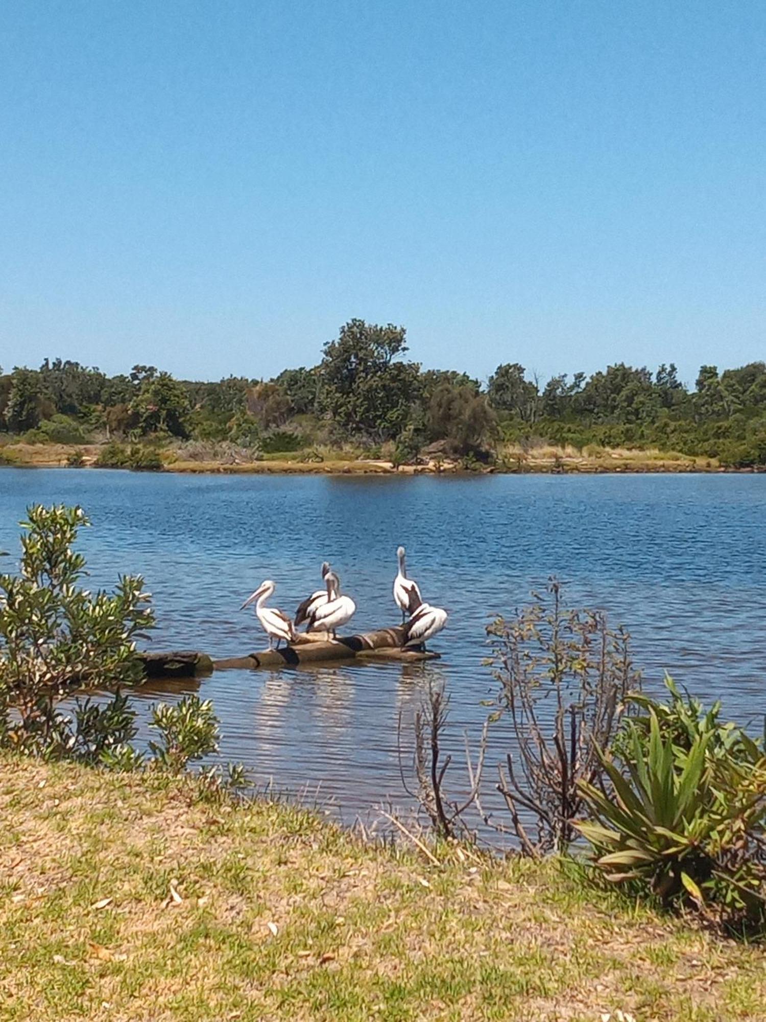 Lakes Entrance Waterfront Cottages With King Beds Esterno foto