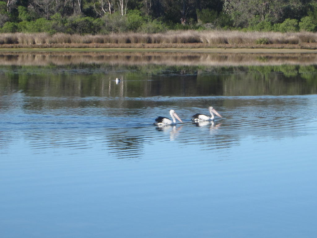 Lakes Entrance Waterfront Cottages With King Beds Esterno foto